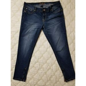 Amethyst Ankle Zipper Skinny Jeans in Dark Wash